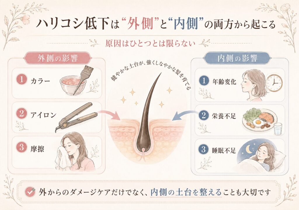 髪のハリコシ低下は、カラーやアイロンなどの外側の影響と、年齢変化や生活習慣などの内側の影響が重なって起こることを示した図解画像。